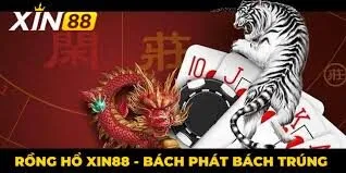 Hướng Dẫn Chơi Rồng Hổ Xin88 - Bí Quyết Thắng Lớn 3 images 4